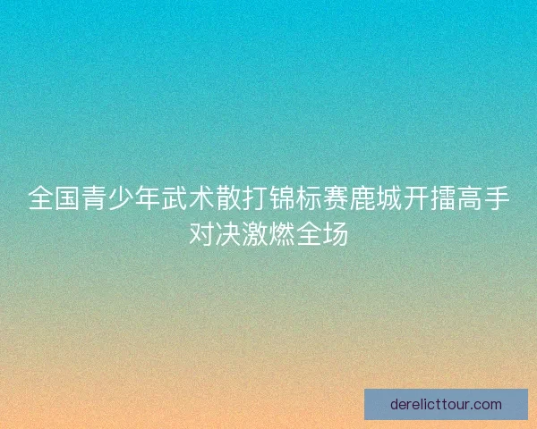 全国青少年武术散打锦标赛鹿城开擂高手对决激燃全场